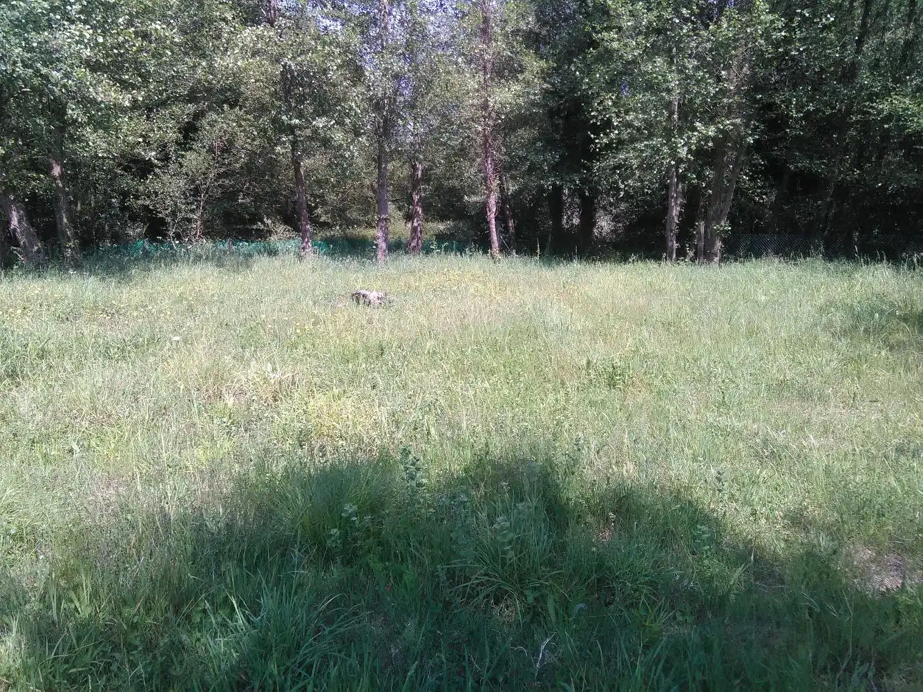 Wohnbaugrundstück zum Verkauf in A Pobra do Caramiñal, imagen 4