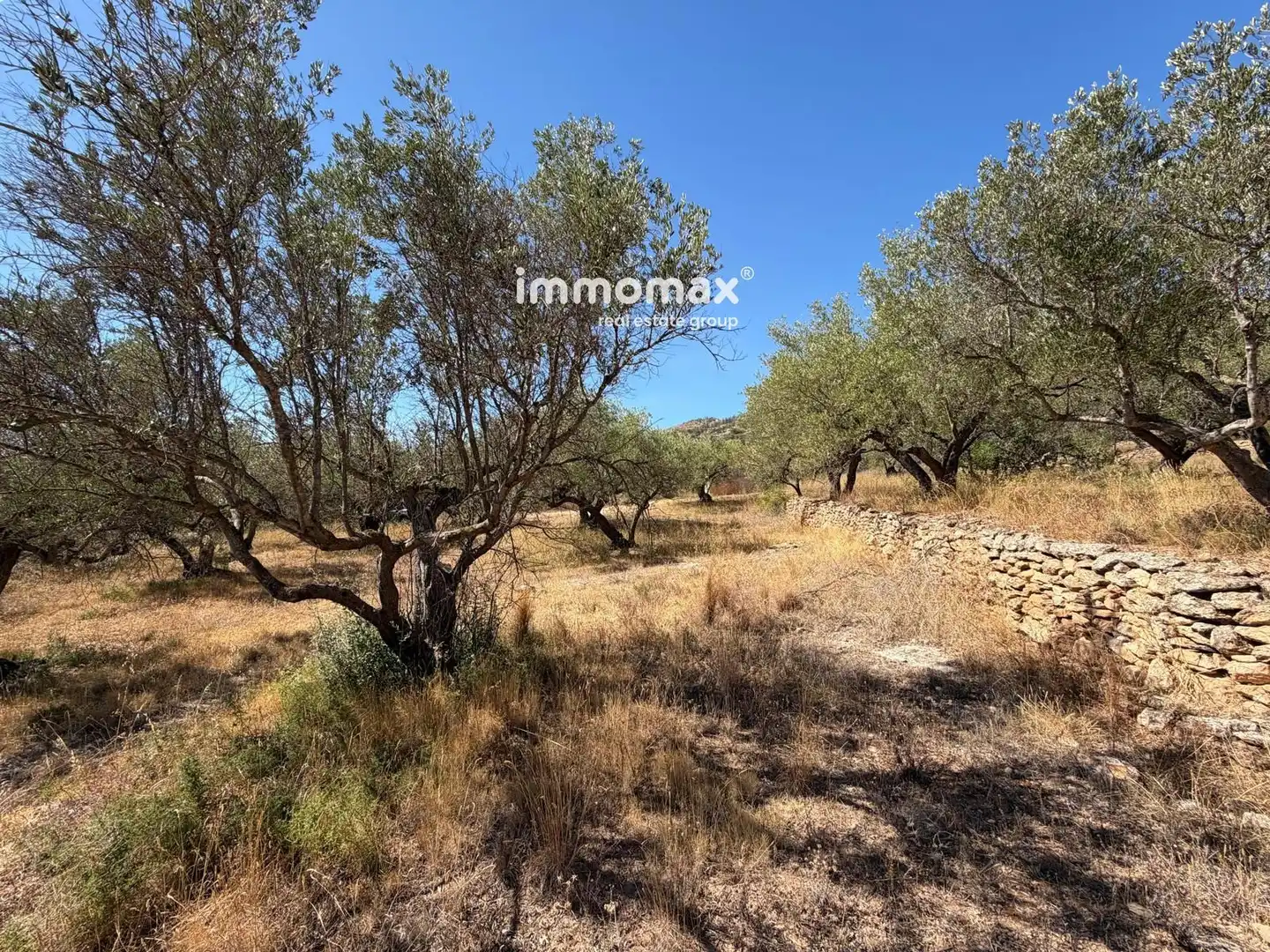 Terreny residencial en venda a 14, imagen 20