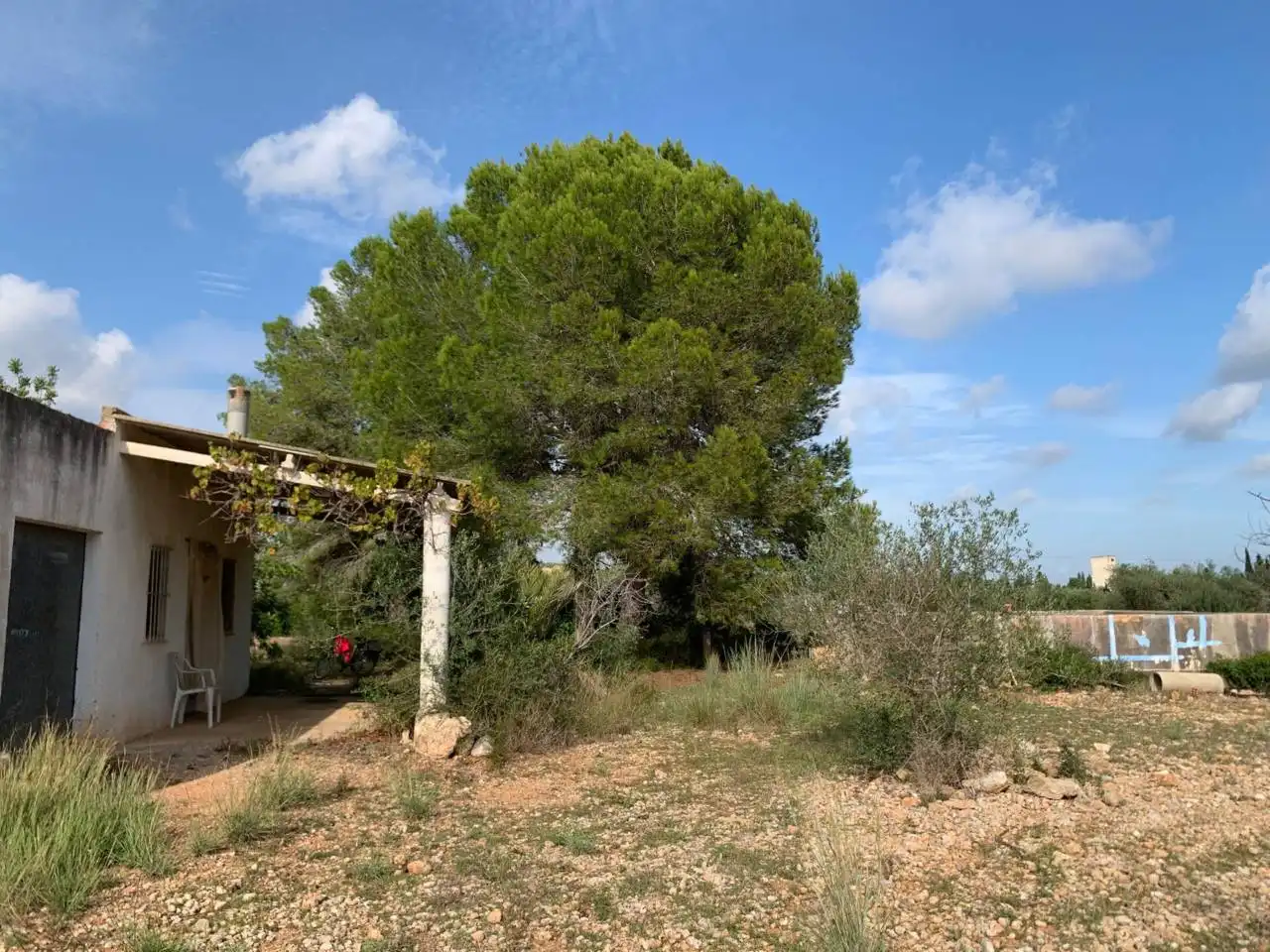 Rural land for sale in Calle POLIGONO 43, PARCELAS 350, 353,559, imagen 3