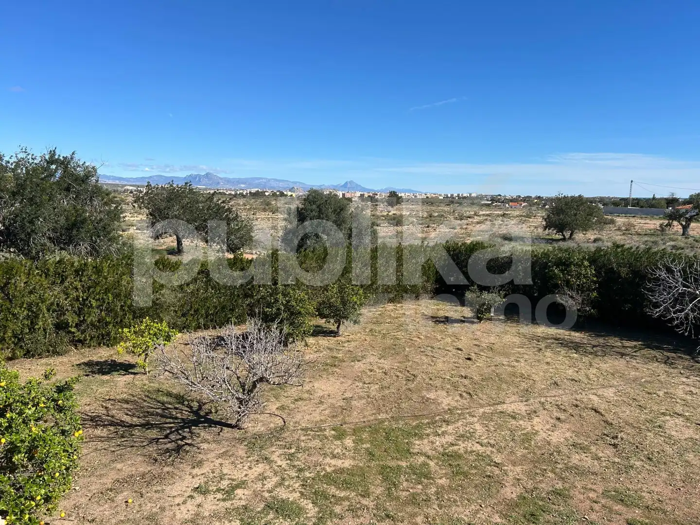 Country house zum Verkauf in Elche / Elx mit Terrasse, Abstellraum und Schwimmbad