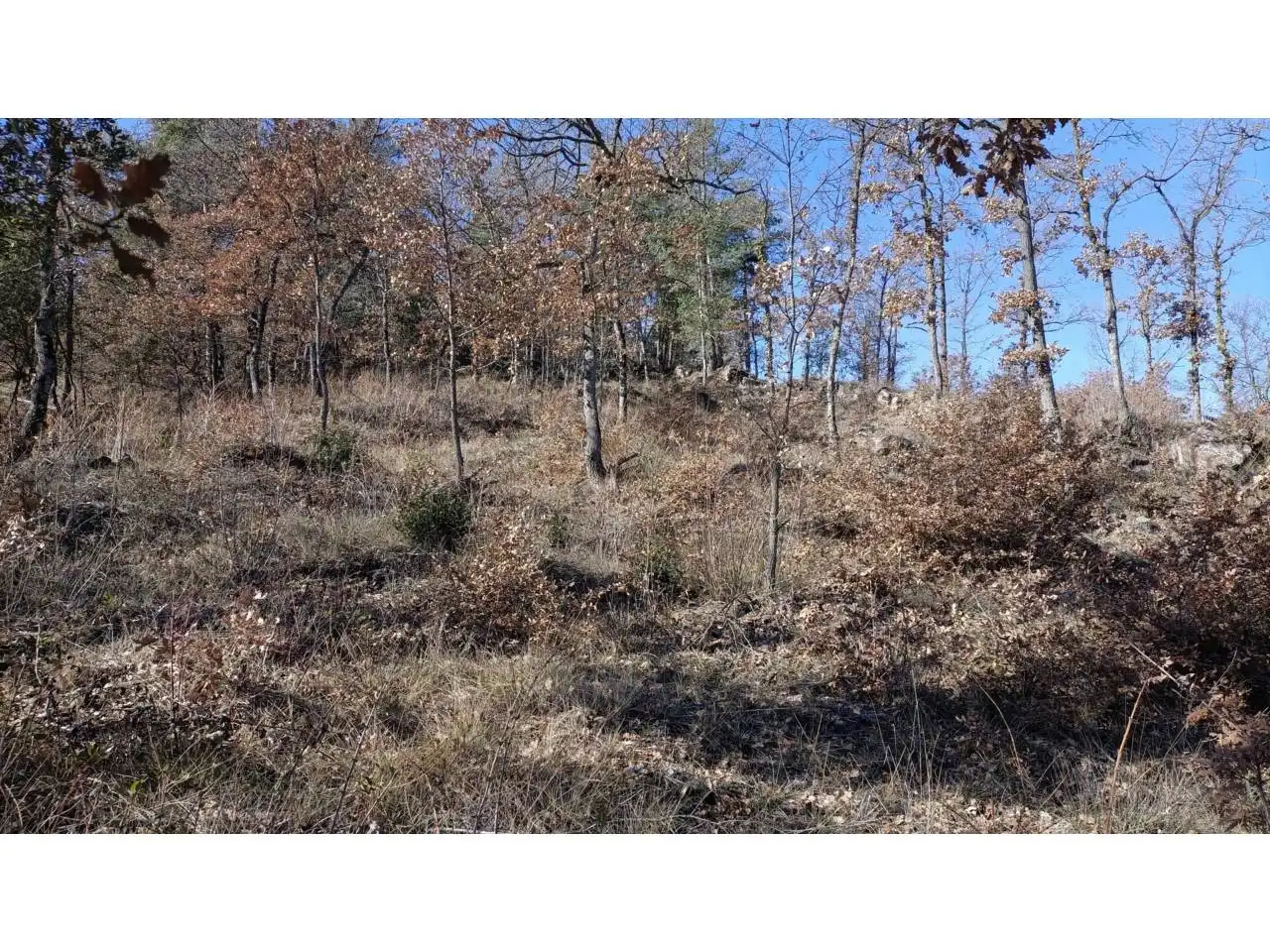 Land for sale in Muntanyola