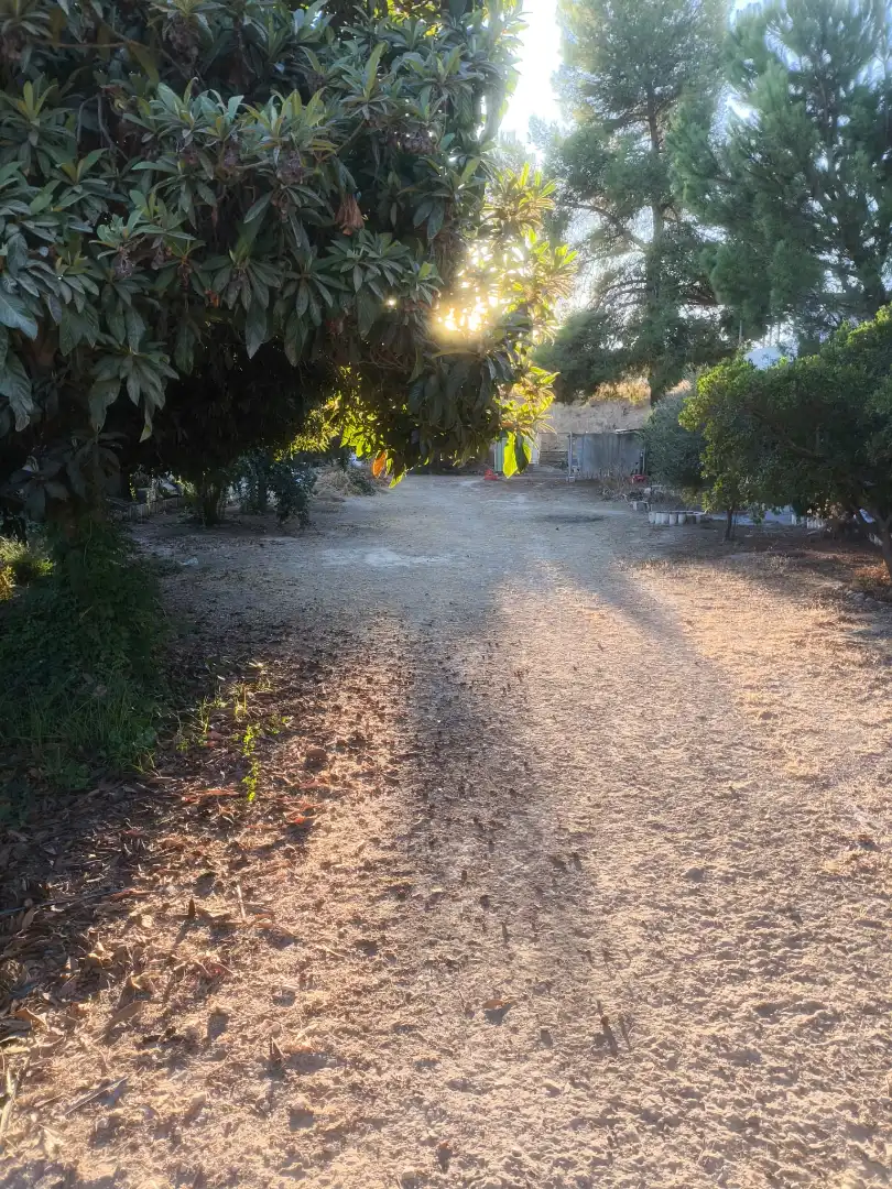 Terreni e lotti in vendita a Mengíbar, imagen 4