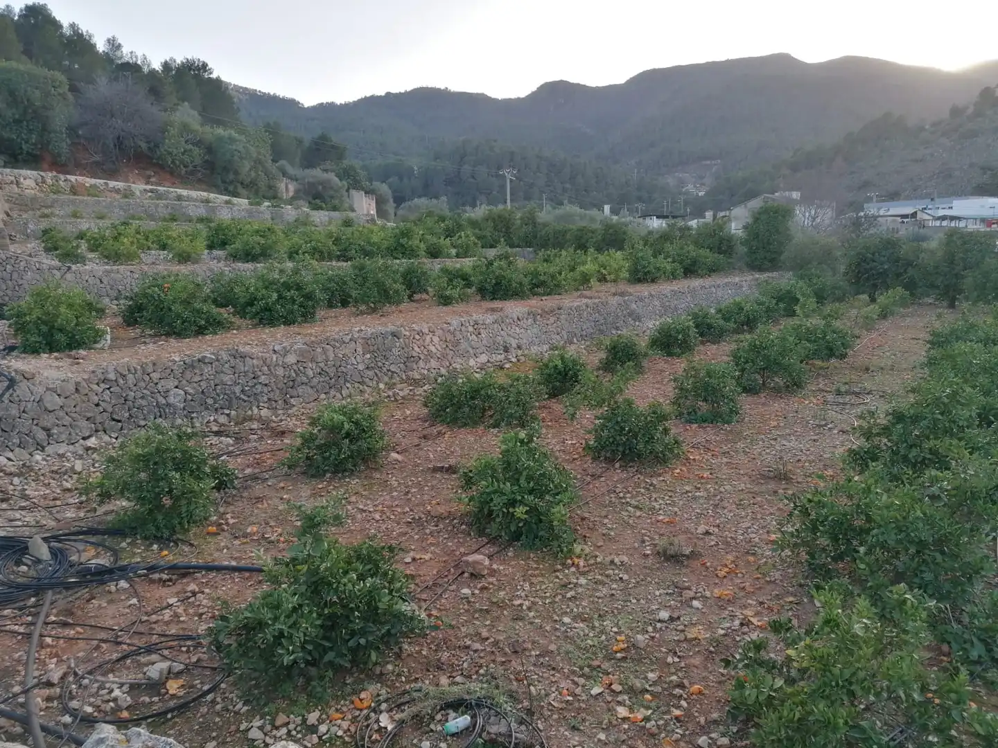 Rural land for sale in Vilallonga / Villalonga, imagen 13