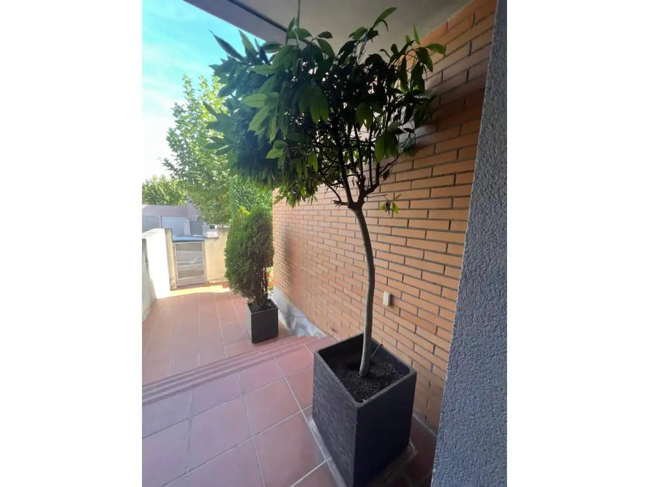 Semi-detached house with pool to rent in Bargas, imagen 44