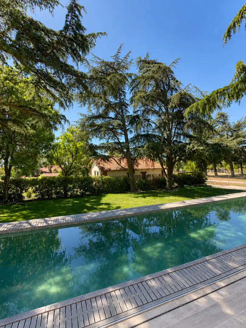 Jardí de Casa o xalet en venda en Hoyo de Manzanares amb Jardí privat, Piscina i Moblat