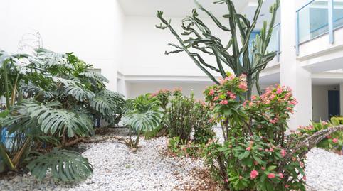 Photo 2 of Apartment for sale in Rodeo Alto - Guadaiza - La Campana, Marbella