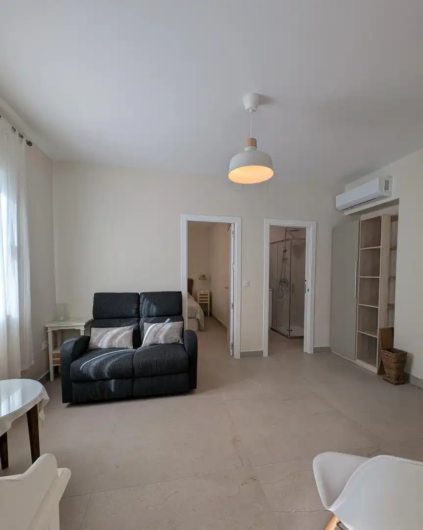 Sala d'estar de Apartament de lloguer en Sevilla amb Aire condicionat i Moblat