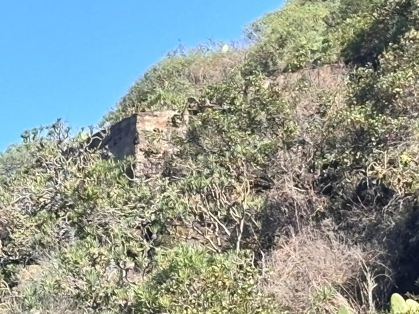 Terreno rustico in vendita a Camino de San Diego, imagen 18