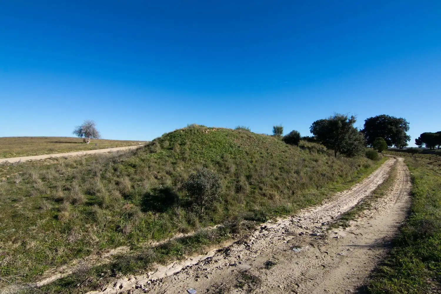 Rural land for sale in Villamanta 0, imagen 12
