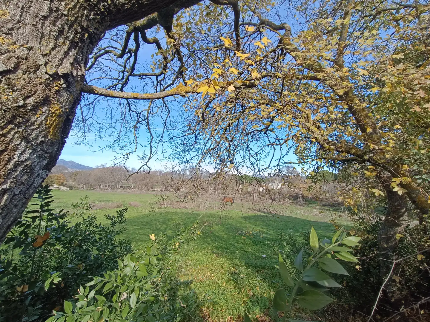 Wohnbaugrundstück zum Verkauf in Colmenar del Arroyo, imagen 14