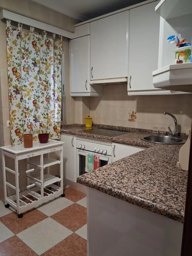 Kitchen of Flat for rent in Sevilla  with Air Conditioner, Furnished and Oven