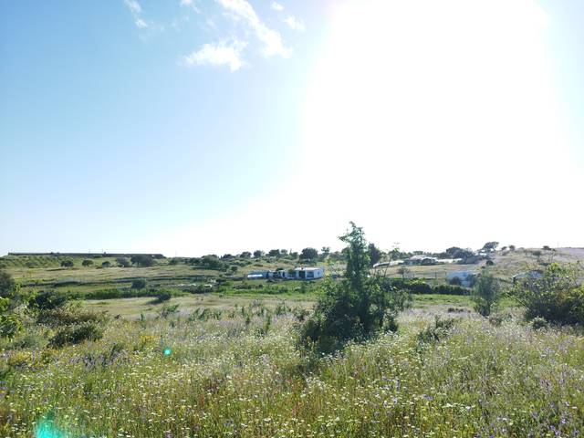 Terreno en Venta en Urbanizacion UE-10, 14 en Villablanca