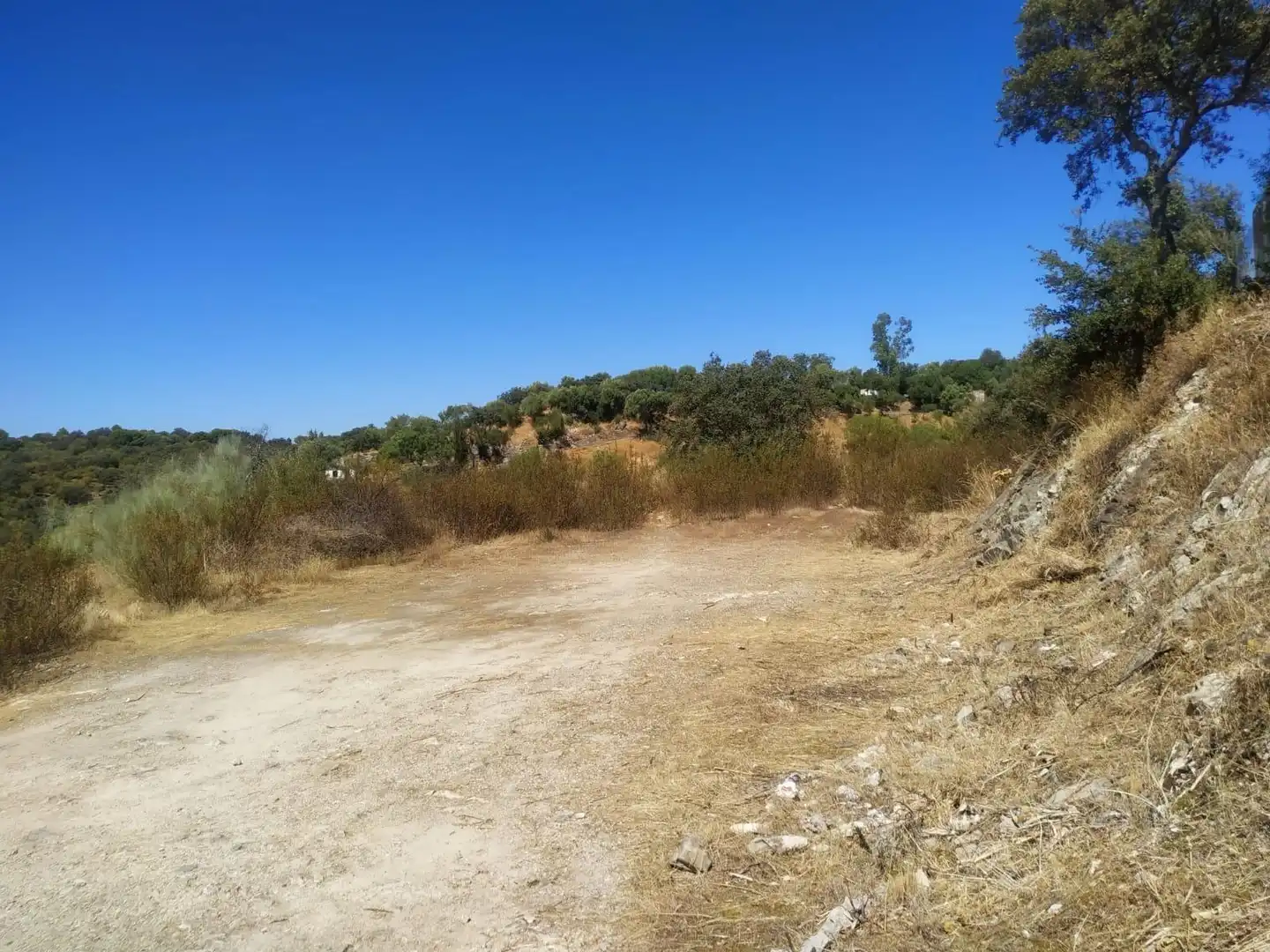 Terreny rústic en venda a Almodóvar del Río, imagen 2