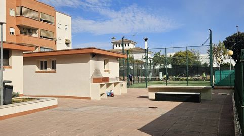 Foto 4 de Piso en venta en Pago San José - Princi - Jerez, Jerez de la Frontera