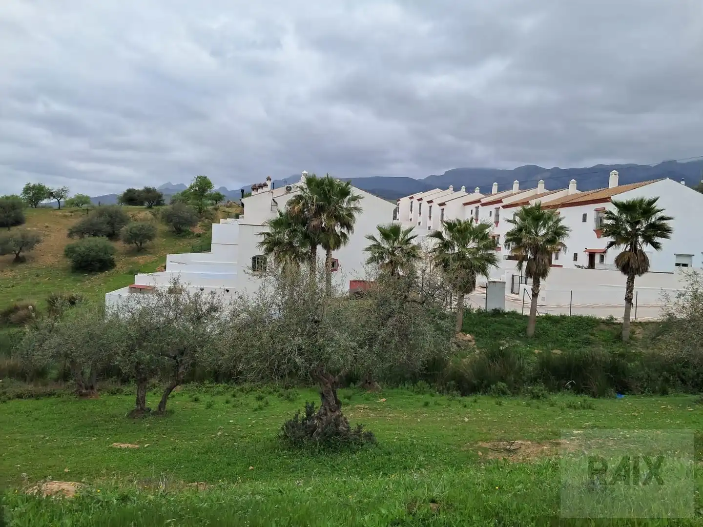 Terrenos y solares en venta en Calle Majiaza