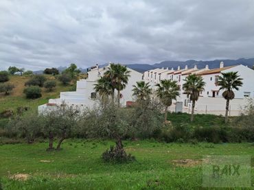 Terreni e lotti in vendita a Calle Majiaza