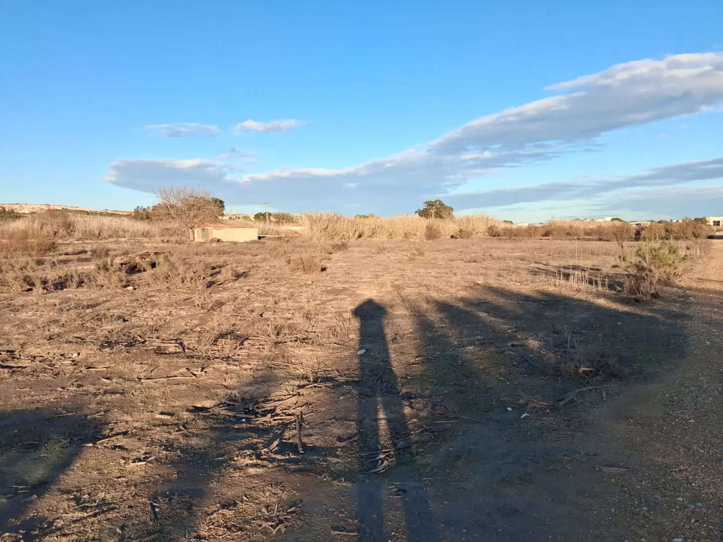 Terreno rustico in vendita a San Fulgencio, imagen 2