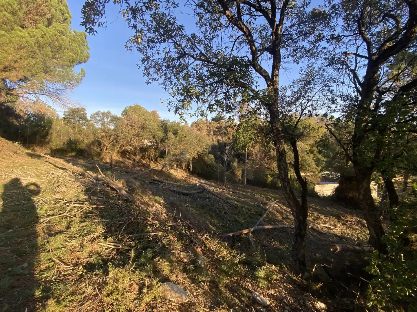 Terreno residencial en venta en Carrer Pi 7, imagen 16