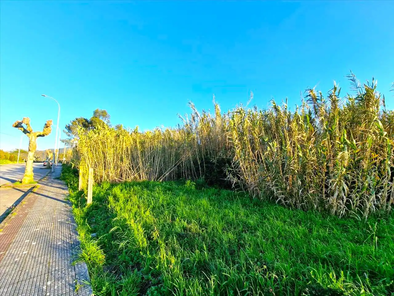 Lands and plots for sale in REVERENDO J.M. PEREZ ALONSO-NIGRA, imagen 8