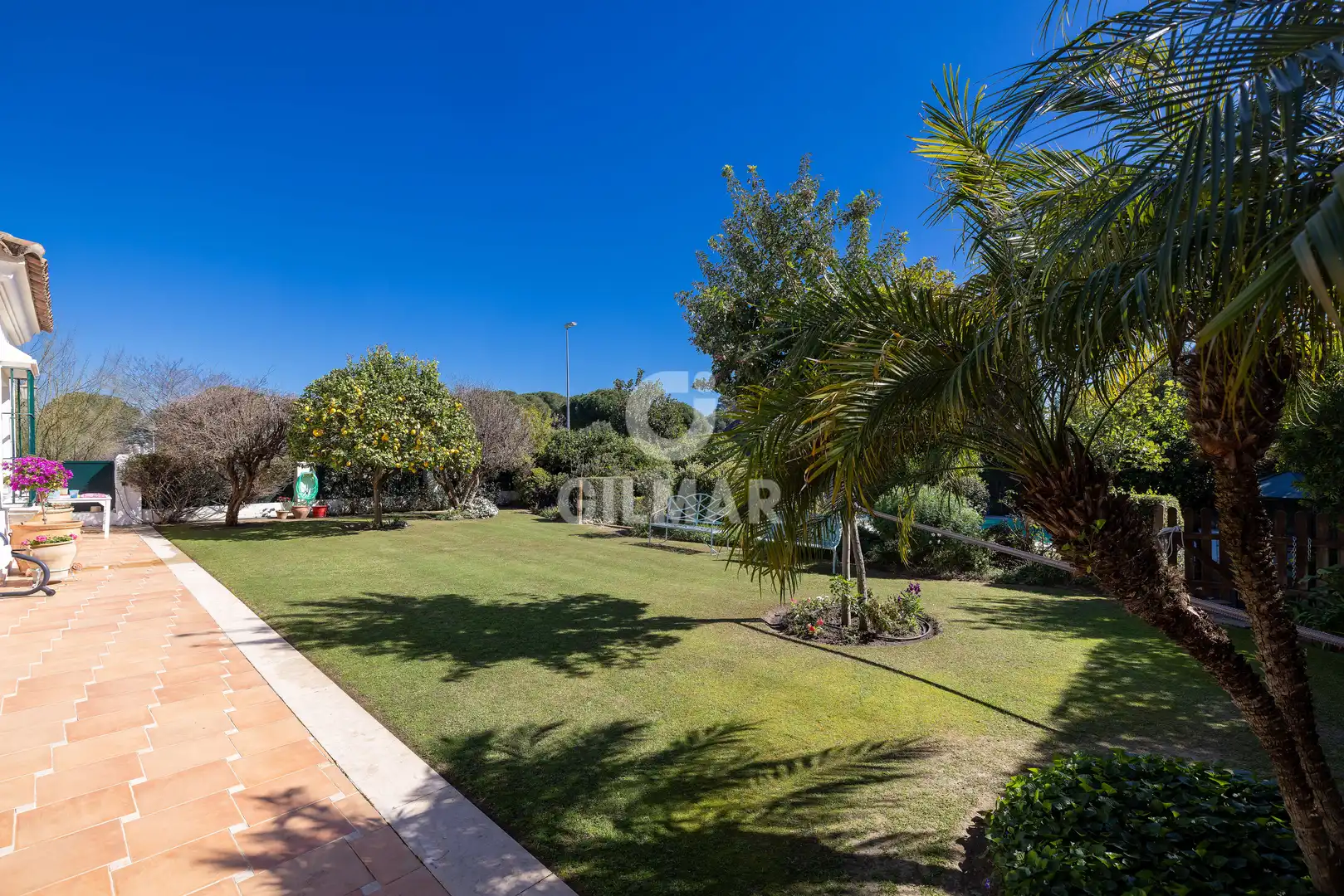 Chalet con piscina en venta en Jerez norte - Montealto - Pozoalbero, imagen 7