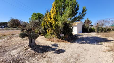 Foto 5 de Finca rústica en venda a Las Tiesas, Alicante