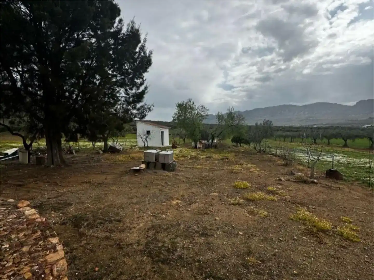 Pis en venda en Cabeza del Buey amb Jardí privat i Traster