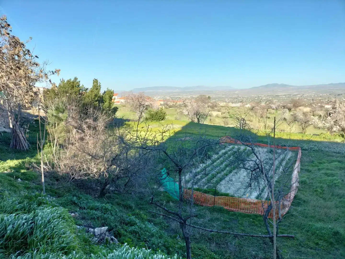 Finca rústica en venta en Baza con Jardín privado, Trastero y Amueblado