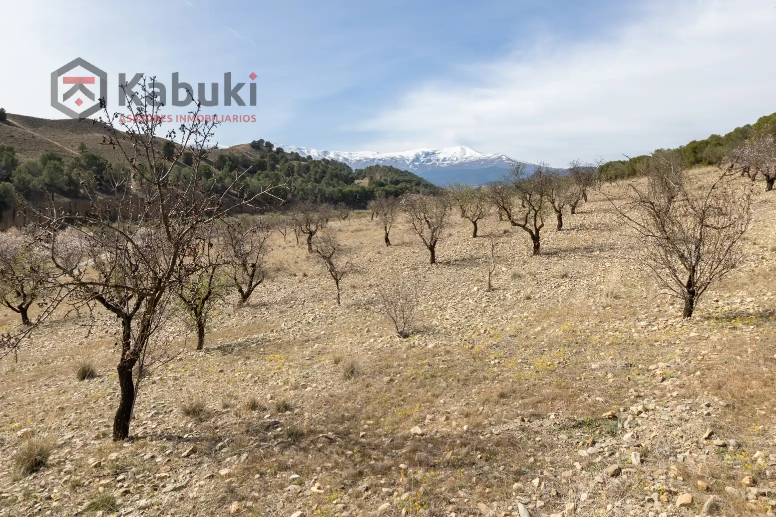 Terreni e lotti in vendita a Guadix - AUTE. VALLE DEL ZALABI, imagen 6