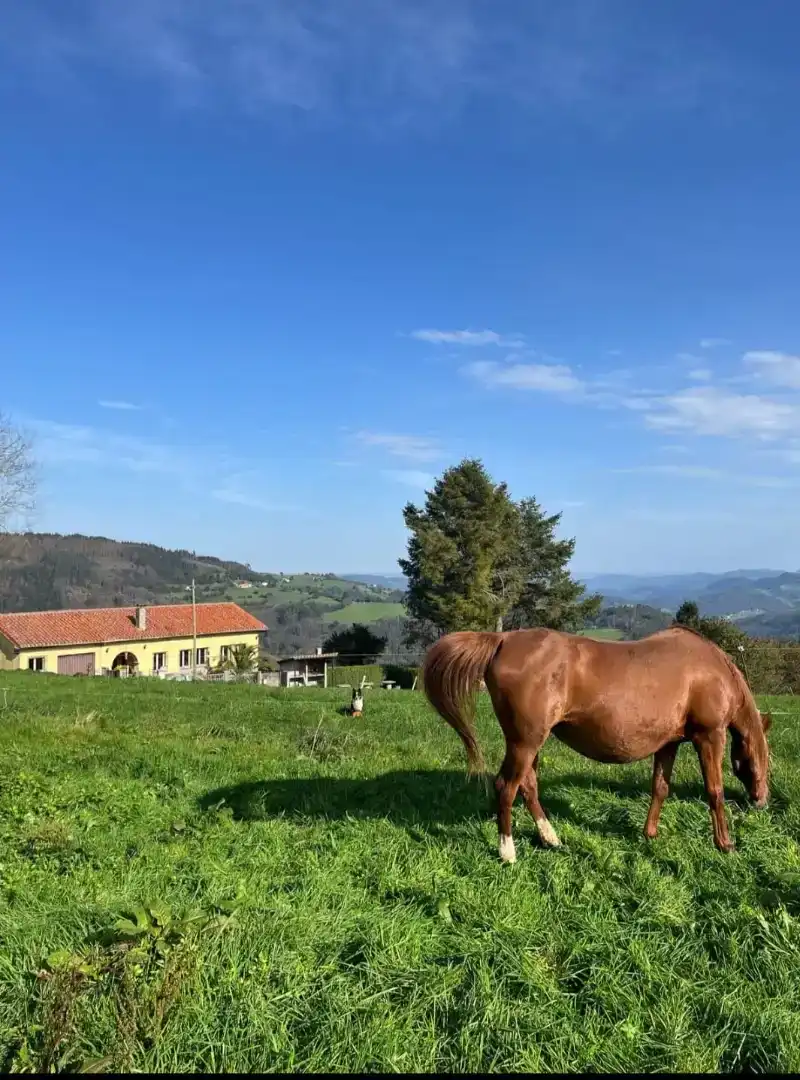Vista exterior de Finca rústica en venda en Salas