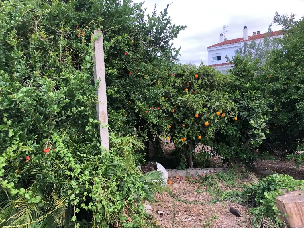 Residencial en venta en Carrer Nou d'Octubre, Piles