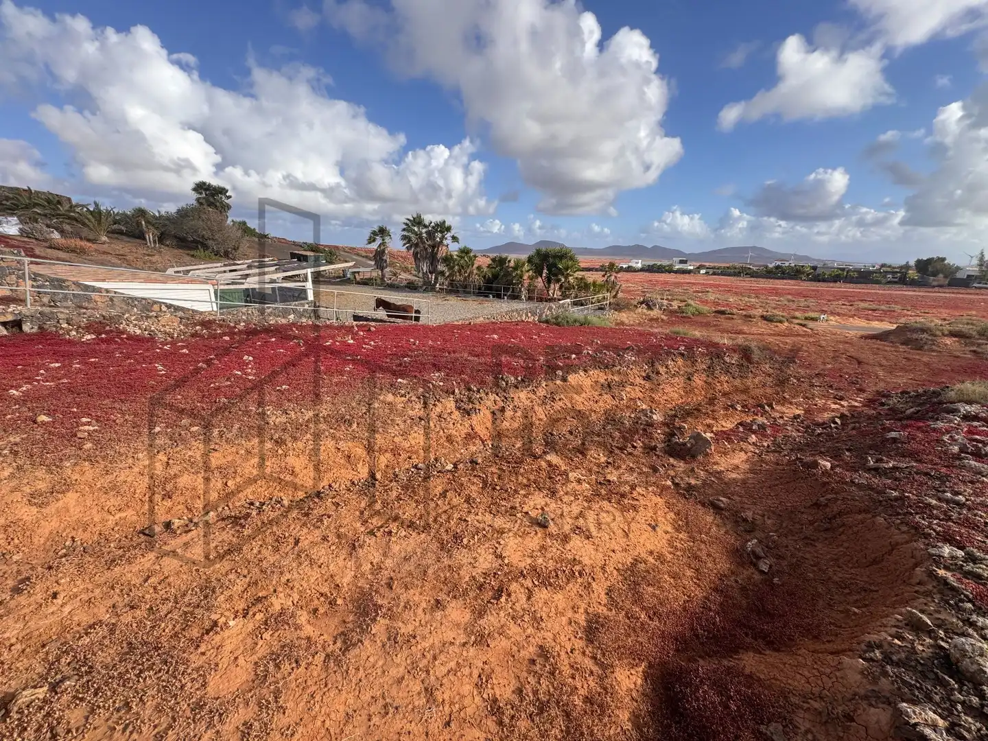 Terreno en venta en La Oliva