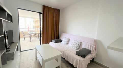 Foto 2 de Piso de alquiler en Calle Zamora, Rincón Bajo, Benidorm