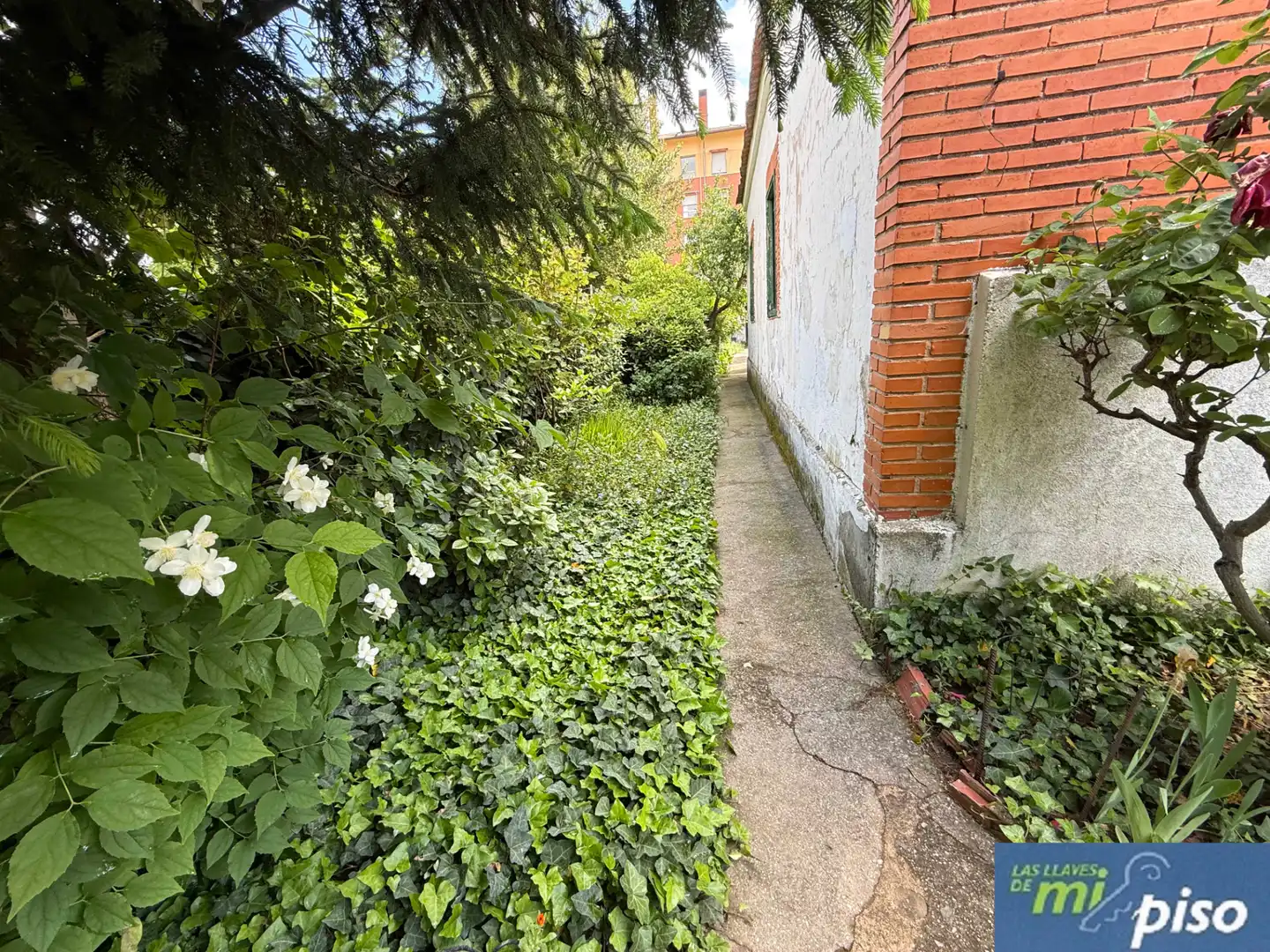 Vista exterior de Casa o chalet en venta en Valladolid con Jardín privado, Parquet y Terraza