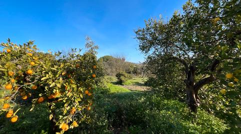 Foto 3 de Finca rústica en venda a Lugar Partido Pereila Baja, Coín, Málaga