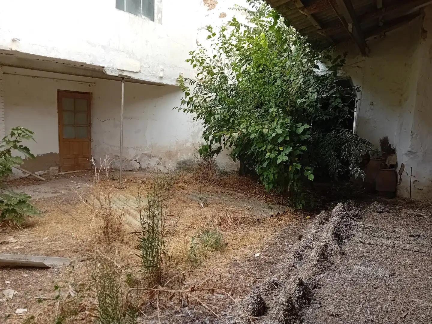 Terrenos y solares en venta en Carrión de Calatrava, imagen 3