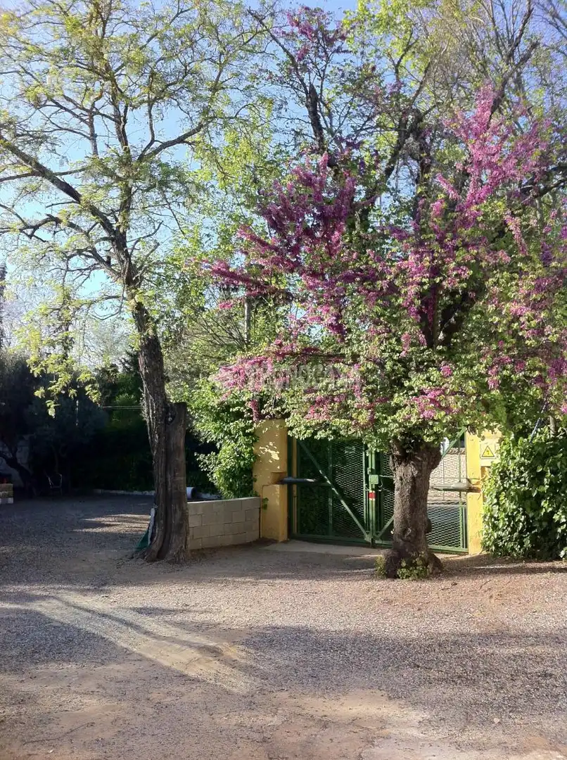 Casa amb terrassa en venda a Baeza, imagen 27