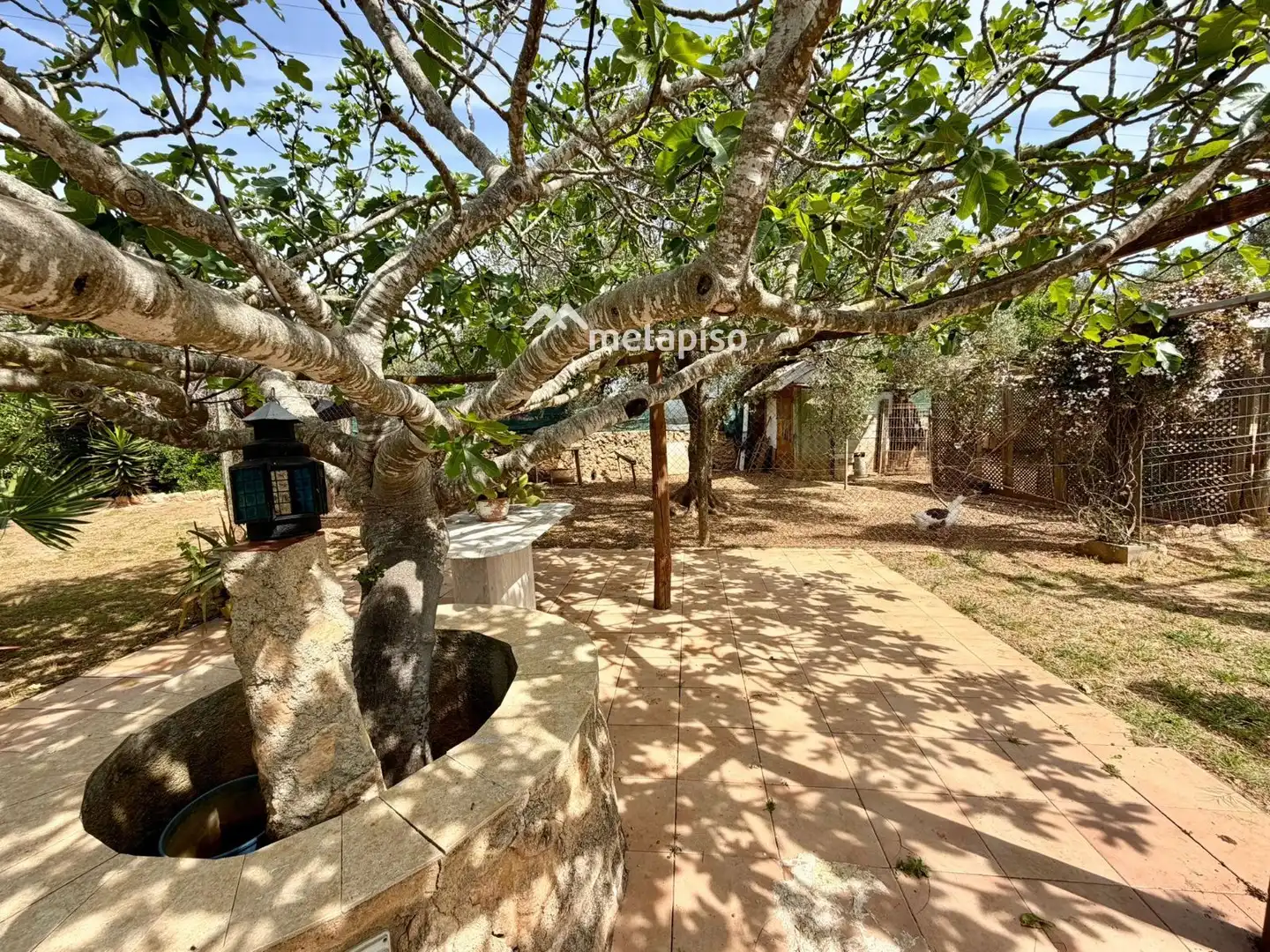 Terreno rustico in vendita a Santa Oliva, imagen 44
