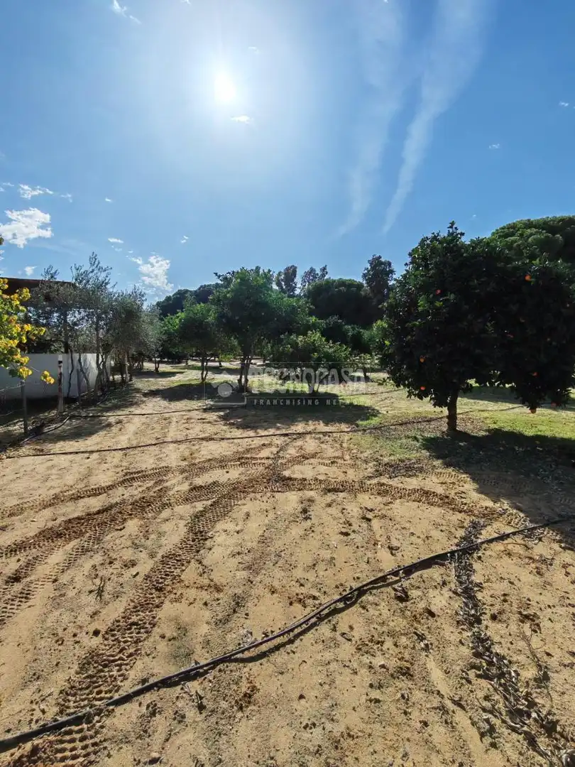 Finca rústica en venta en Marchena con Aire acondicionado