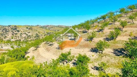 Finca Rúst. en venta en VélezRubio., immagine 4