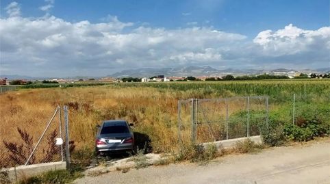 Foto 5 de Terreno en venta en Urbanización la Romana, 17, Ambroz, Vegas del Genil