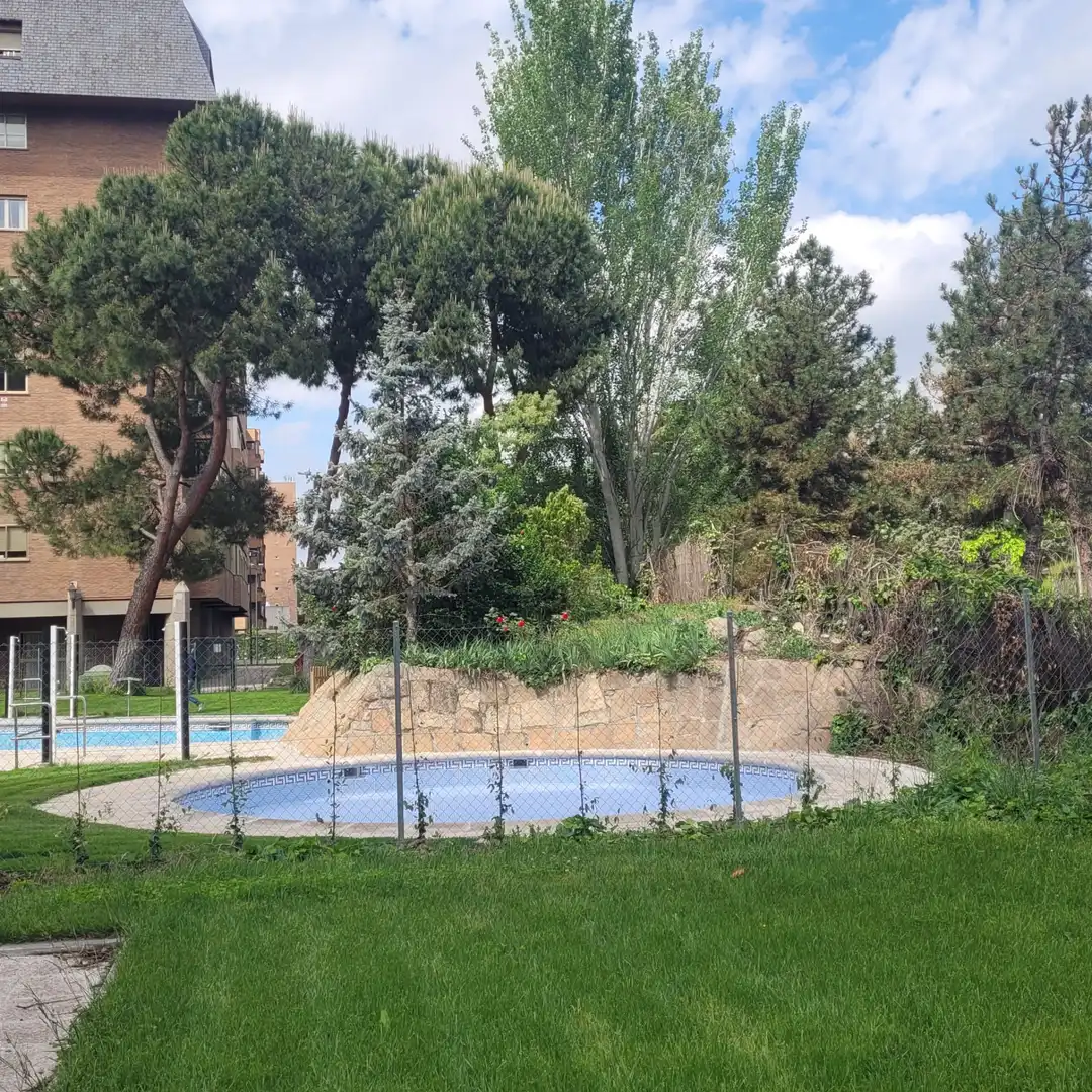 Swimming pool of Duplexes for sale in Madrid  with Heating, Parquet flooring and Terrace