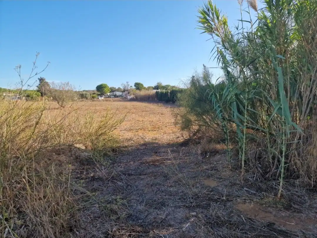 Terreno rústico en venta en Ctra.Portal -Genaro 107, imagen 10