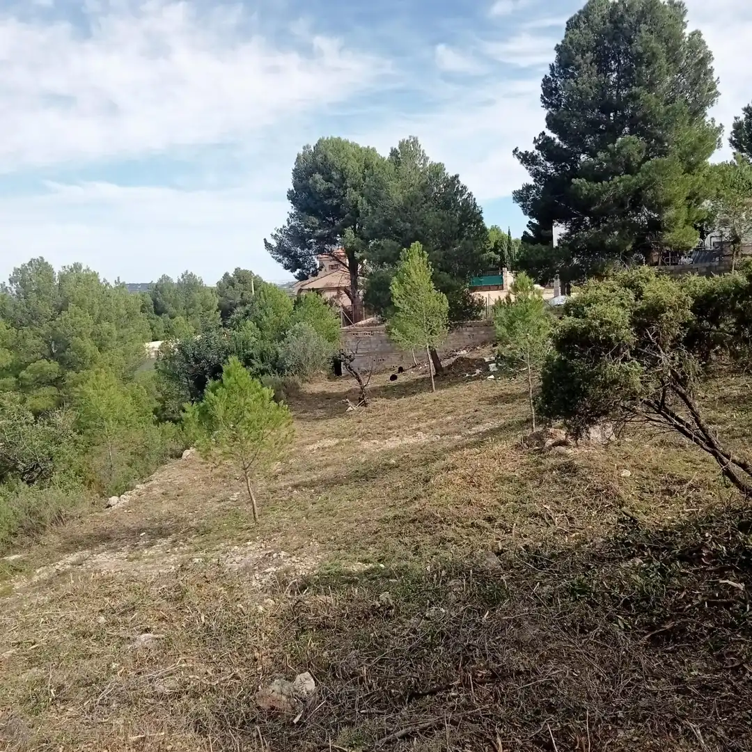 Terreni e lotti in vendita a Godelleta, imagen 3