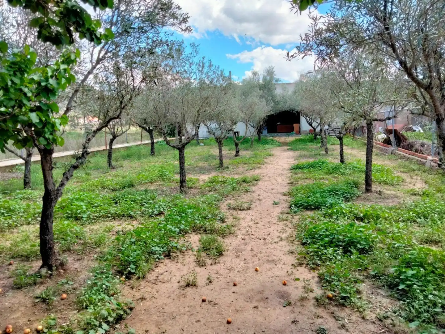 Houses for sale in Hondón de los Frailes  with Private garden, Terrace and Storage room