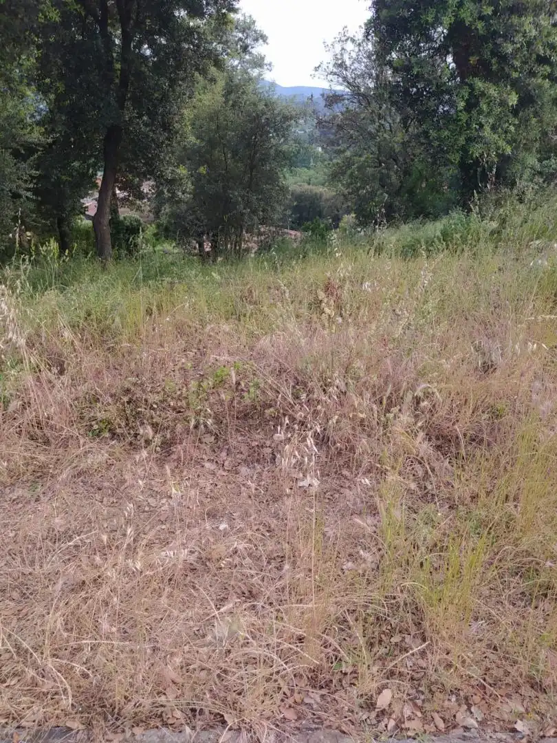 Residential for sale in Gualba