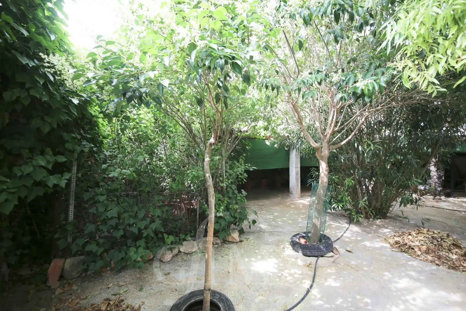 House for sale in Argamasilla de Alba, imagen 24