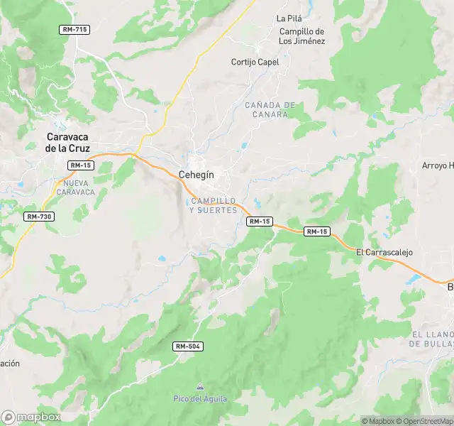 Piso en venta en Cehegín