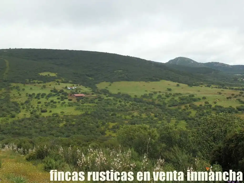 Terreno rústico en venta en Abenójar, imagen 8