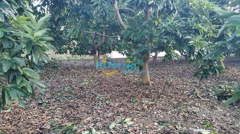 Foto 4 de Residencial en venda a Centro, Nerja