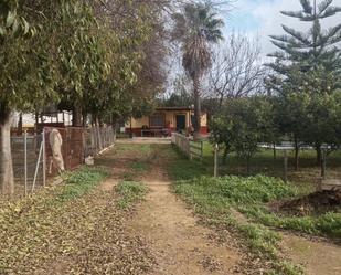 Vista exterior de Terreny en venda en Dos Hermanas